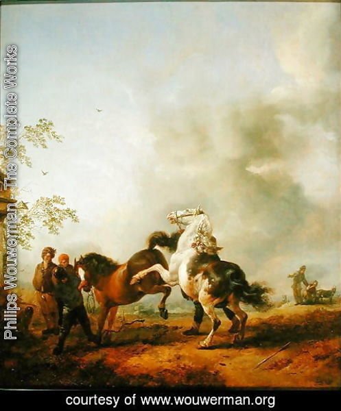 Philips Wouwerman - The Stallion